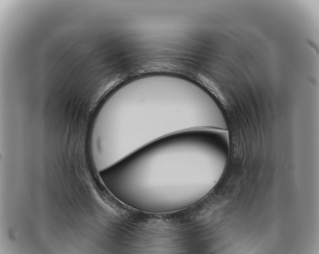 X0000096200538200801181033