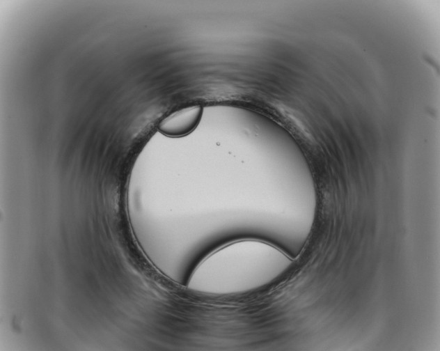 X0000096200539200801181033
