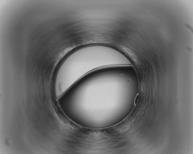 X0000096200540200801181033