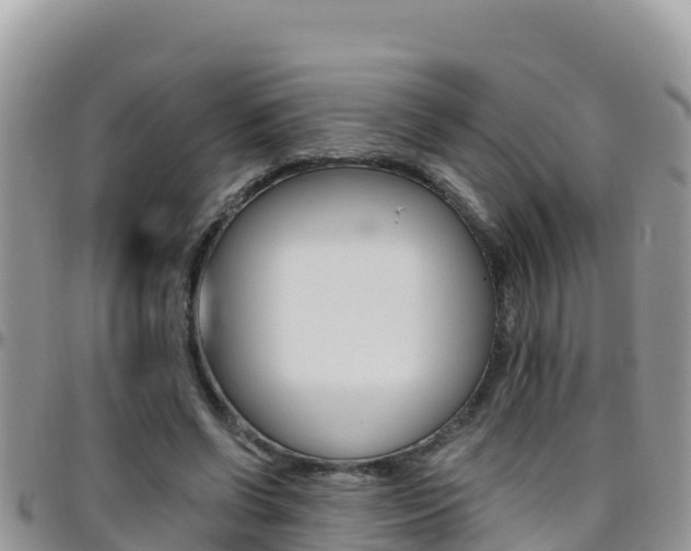 X0000096200542200801181033