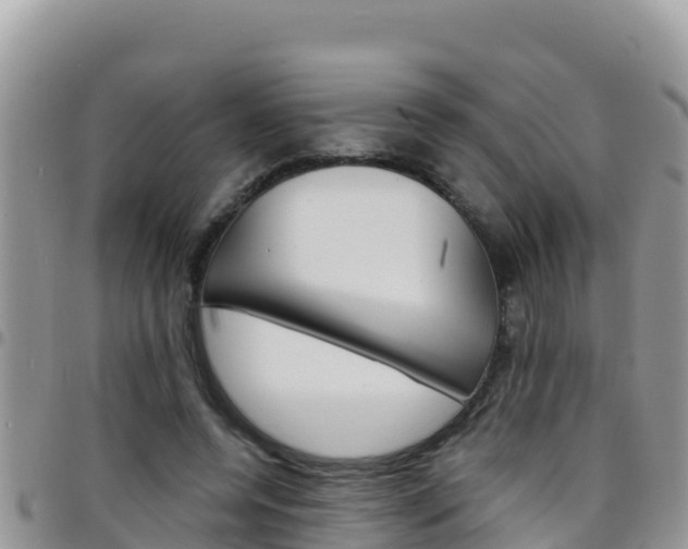 X0000096200544200801181033