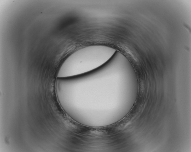 X0000096200545200801181033
