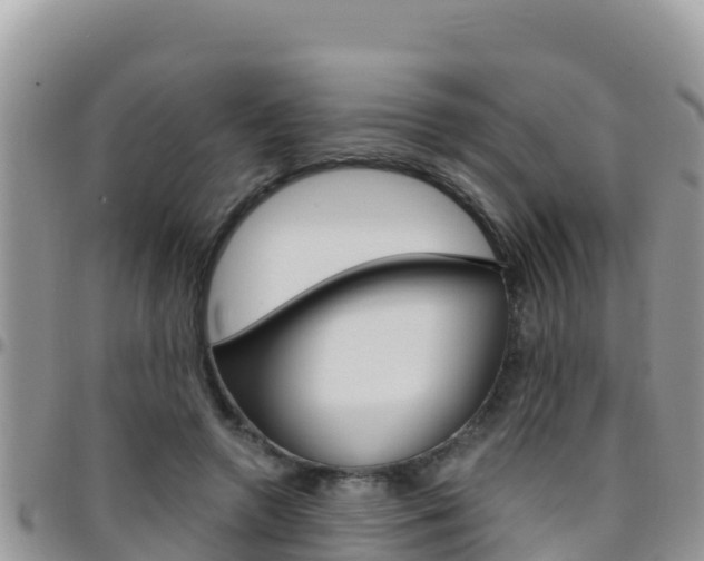 X0000096200546200801181033