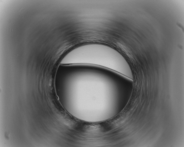 X0000096200548200801181033