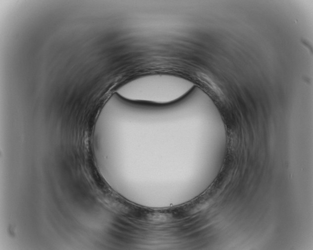 X0000096200549200801181033