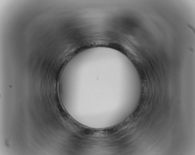 X0000096200550200801181033