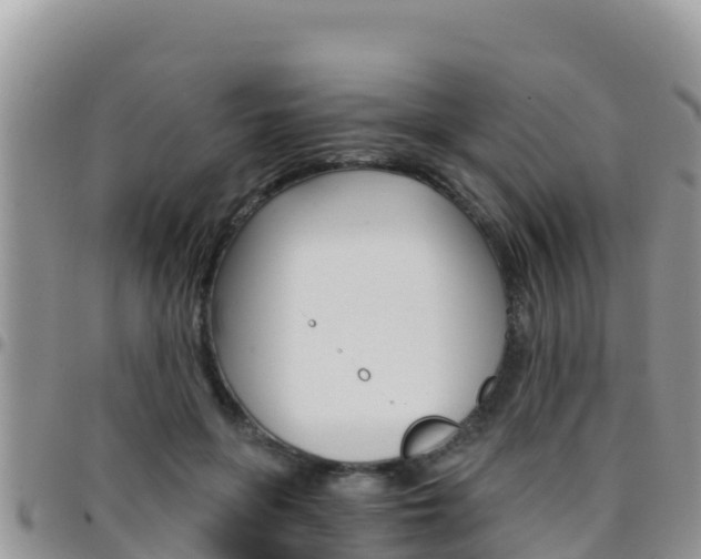 X0000096200551200801181033