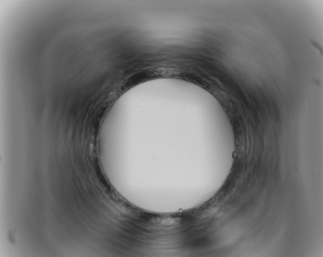 X0000096200553200801181033