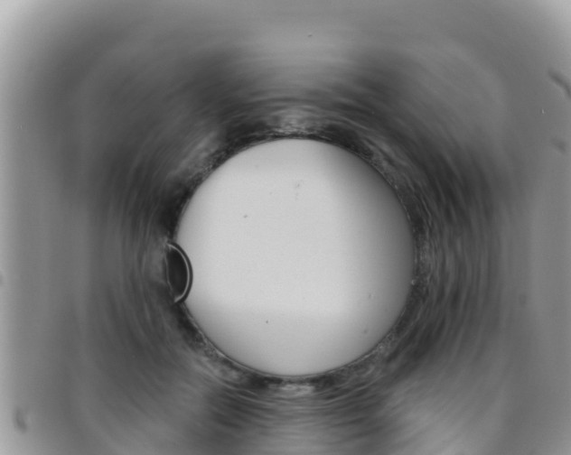 X0000096200554200801181033