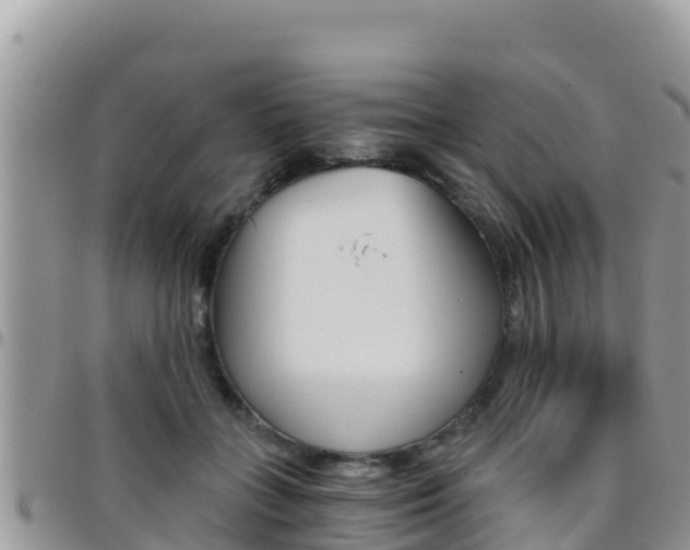 X0000096200555200801181033