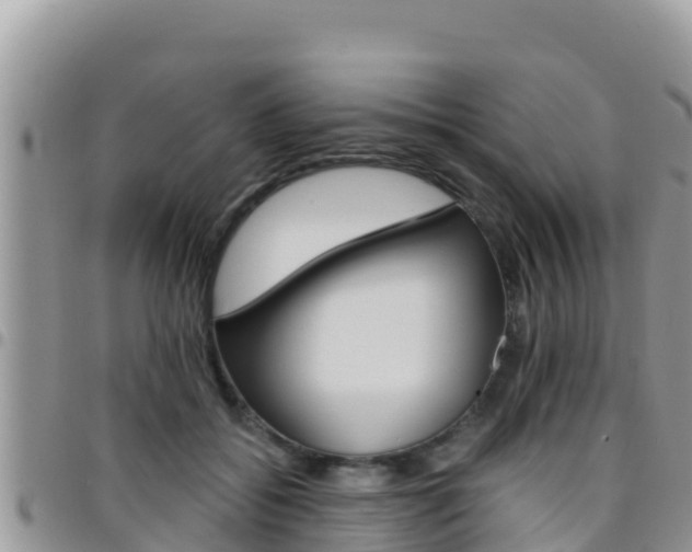 X0000096200556200801181033