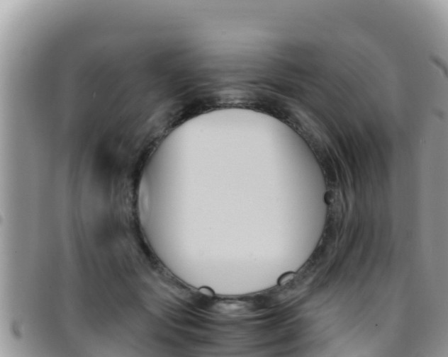 X0000096200557200801181034