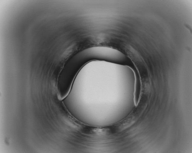 X0000096200558200801181034