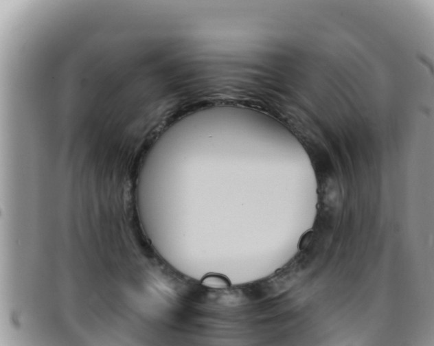 X0000096200559200801181034