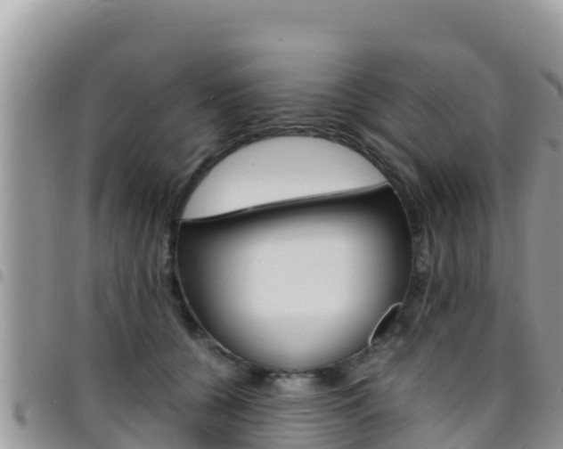 X0000096200560200801181034