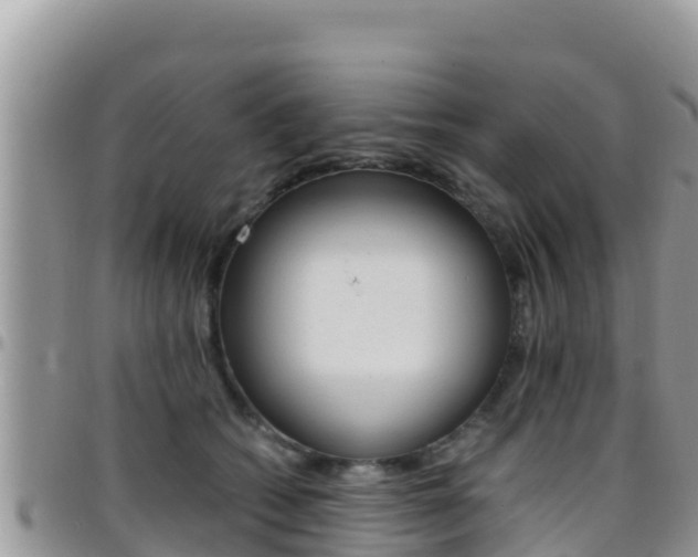 X0000096200562200801181034