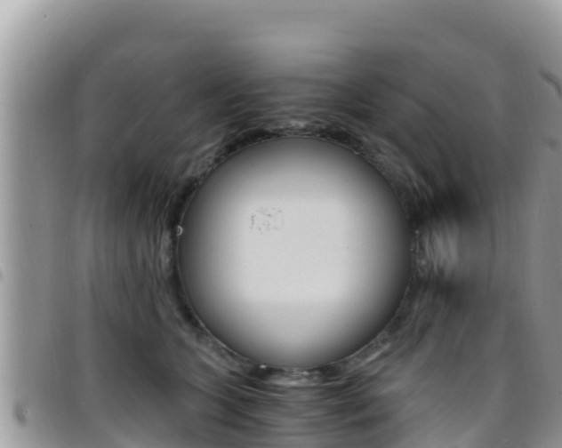 X0000096200563200801181034