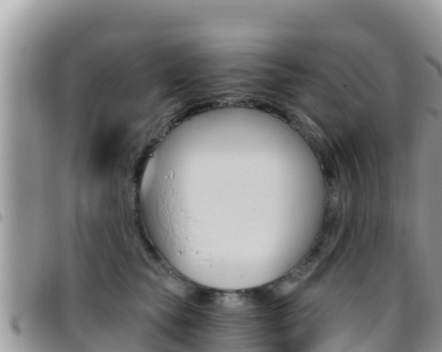 X0000096200565200801181034