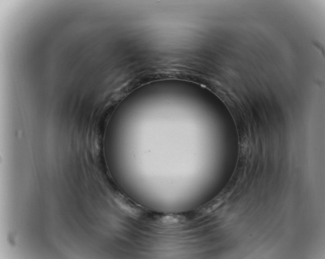 X0000096200566200801181034