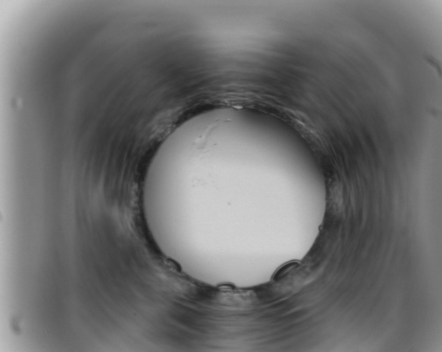 X0000096200571200801181034
