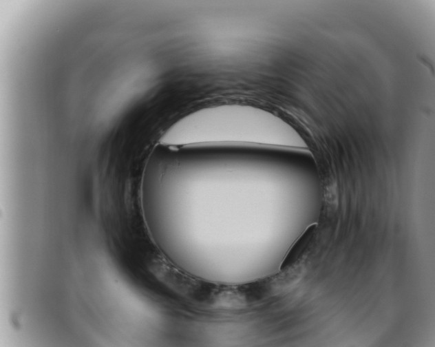 X0000096200572200801181034
