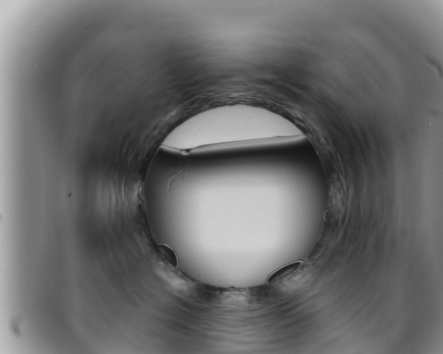 X0000096200574200801181034