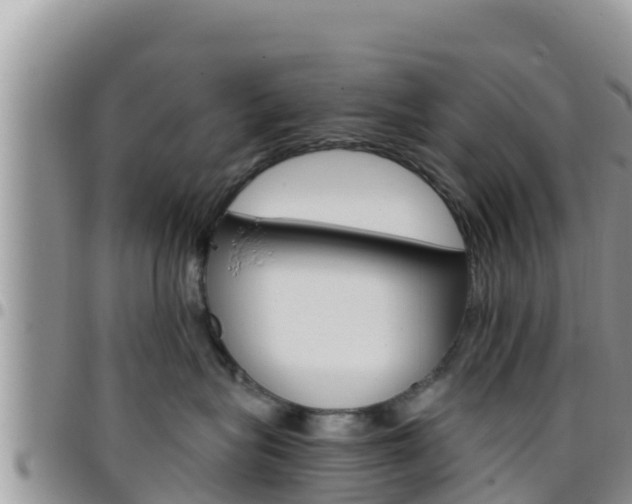 X0000096200575200801181034