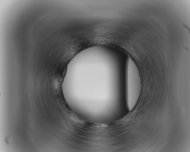 X0000096200576200801181034