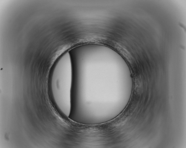 X0000096200578200801181033