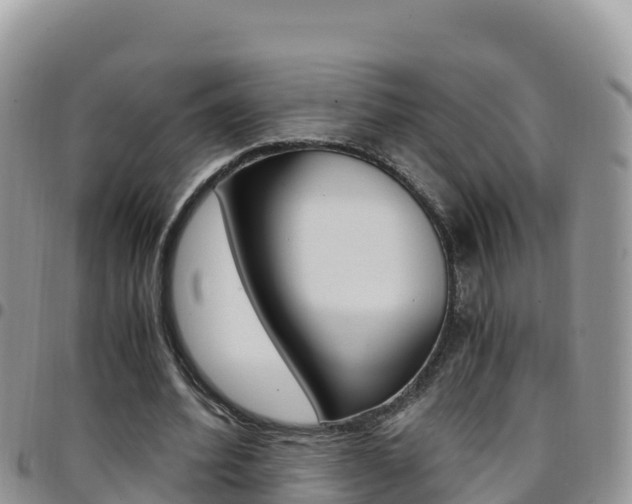 X0000096200580200801181033