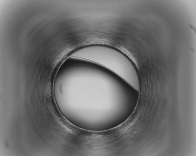X0000096200581200801181033