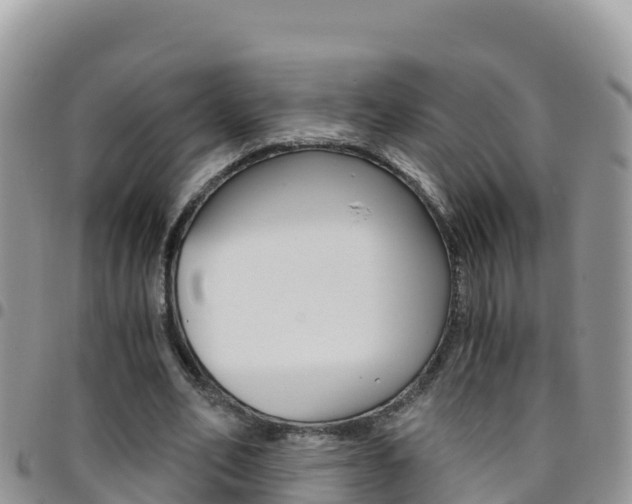 X0000096200582200801181033