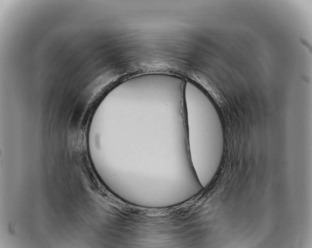 X0000096200583200801181033