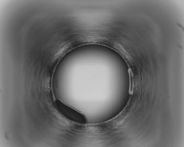 X0000096200585200801181033