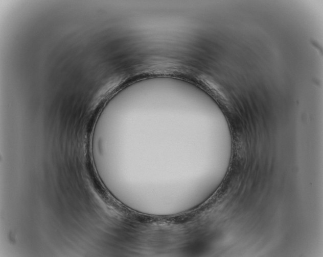 X0000096200586200801181033