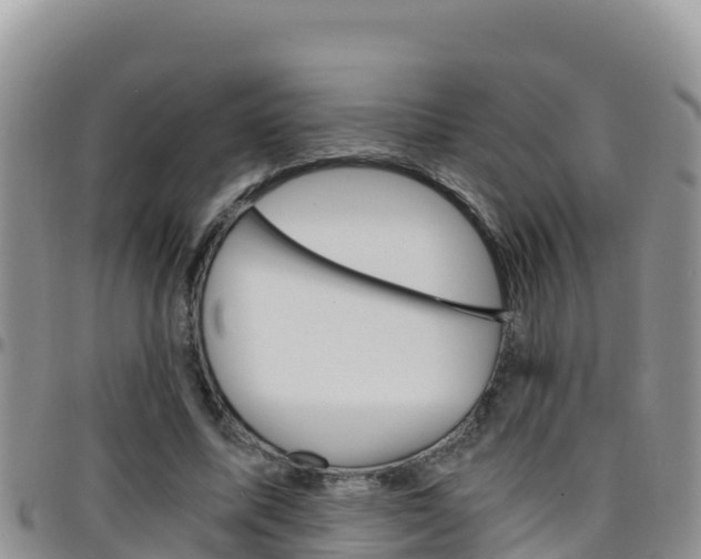 X0000096200587200801181033
