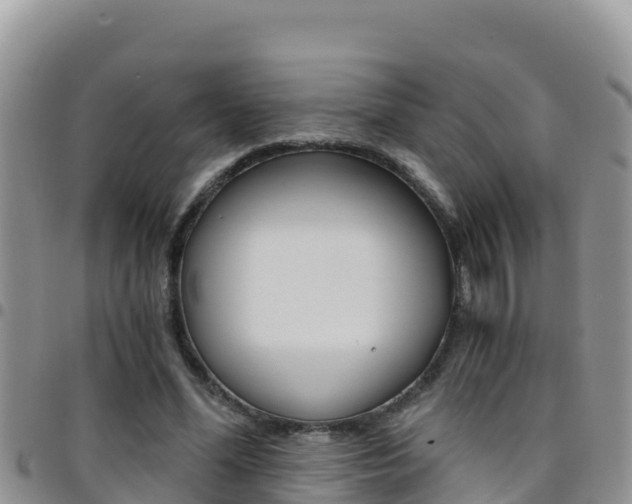 X0000096200588200801181033