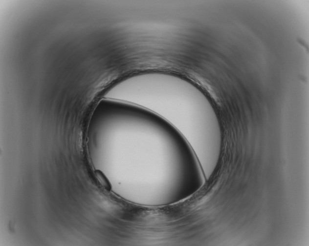 X0000096200589200801181033