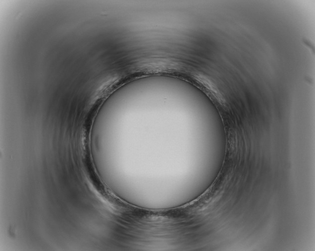 X0000096200590200801181033
