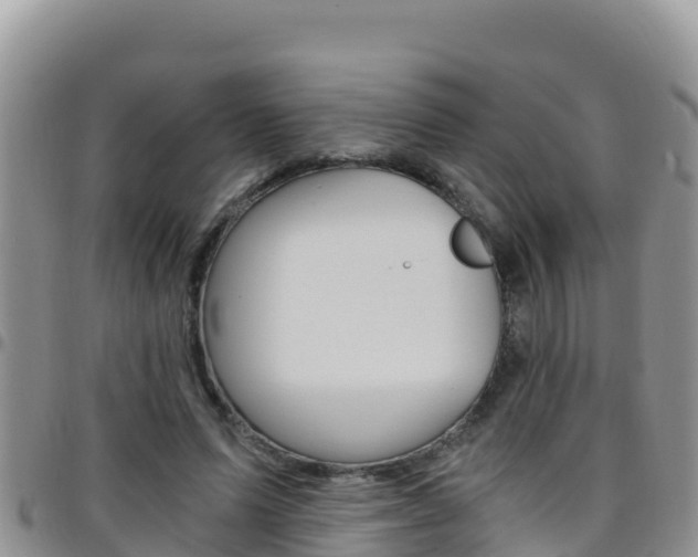 X0000096200591200801181033