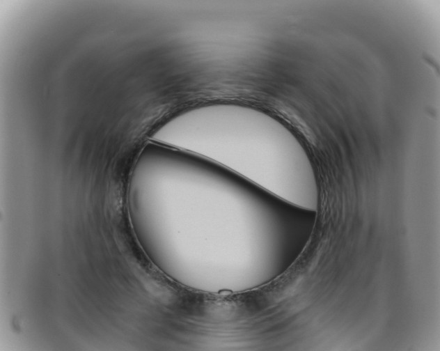 X0000096200593200801181033