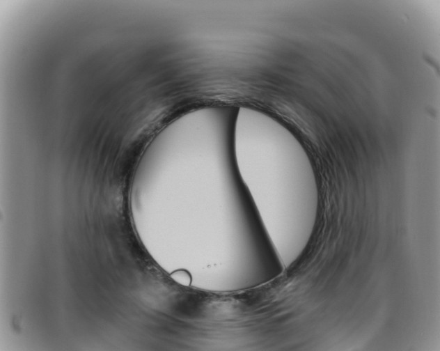 X0000096200595200801181033