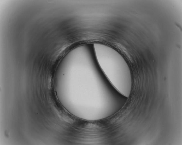 X0000096200596200801181033