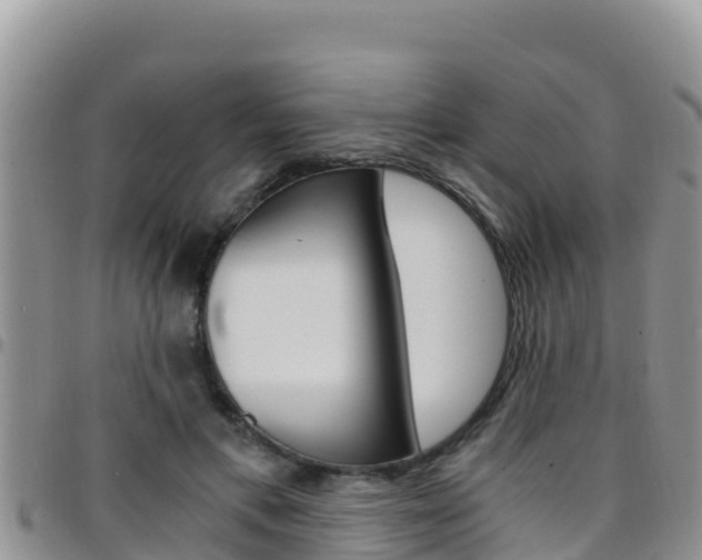 X0000096200597200801181033
