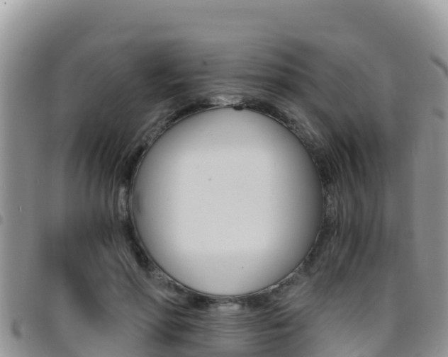 X0000096200598200801181033