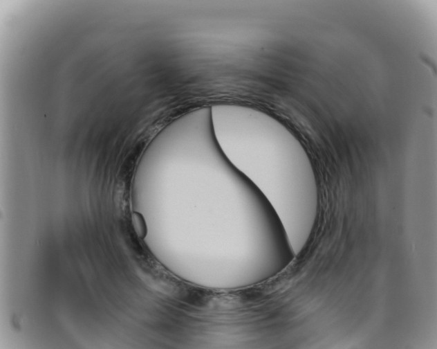 X0000096200599200801181033
