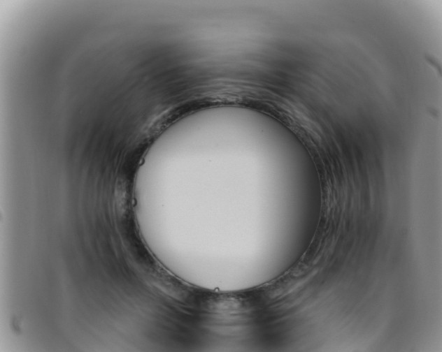 X0000096200600200801181033