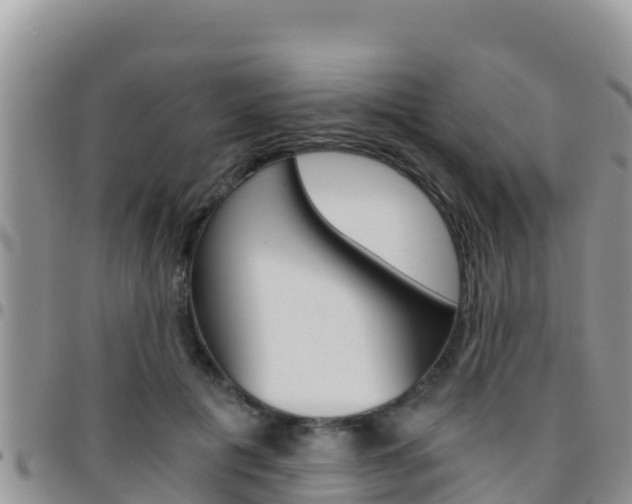 X0000096200601200801181033