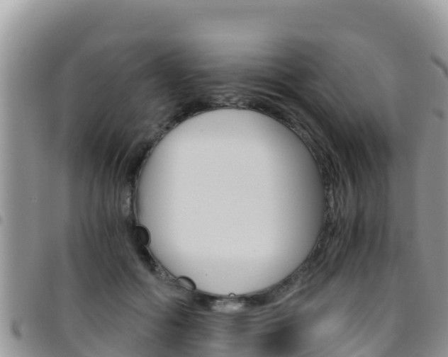 X0000096200602200801181033