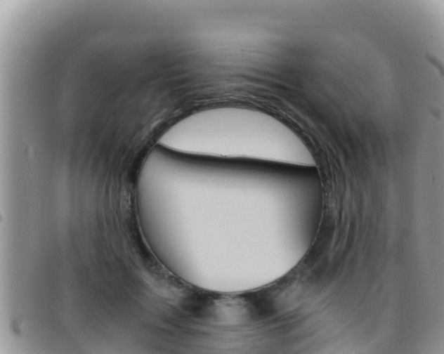 X0000096200603200801181033